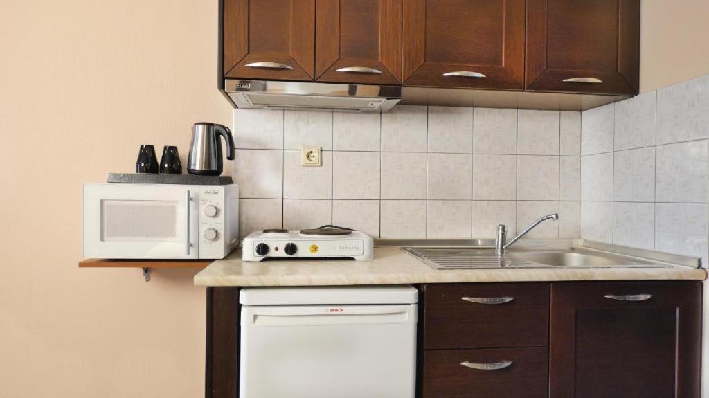 House Chrysoula Mitsokopi Lägenhet Sarti Exteriör bild